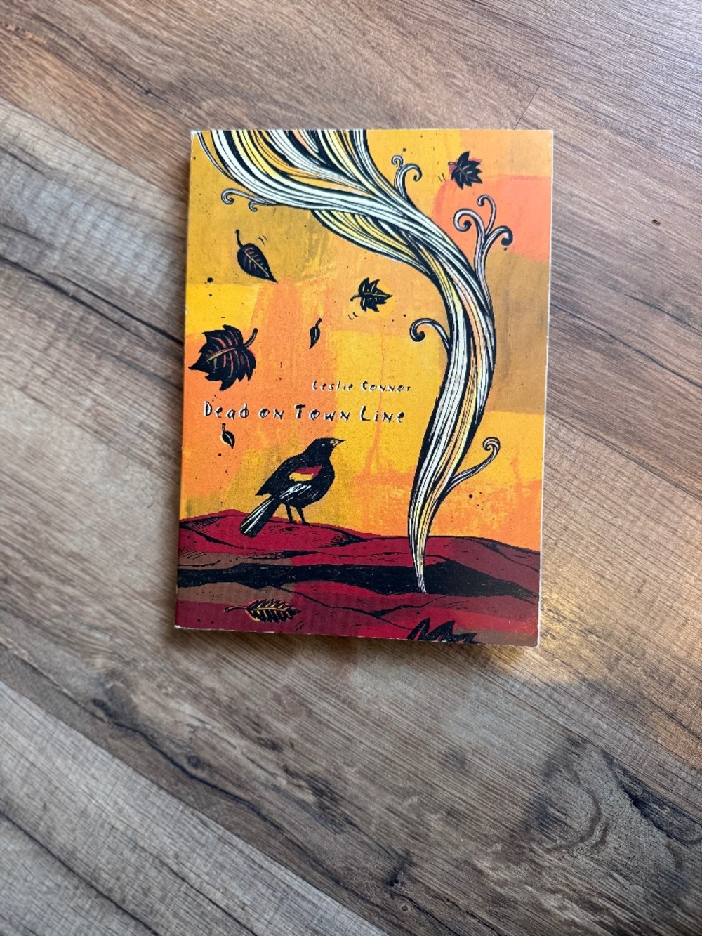 Dead on Town Line by Leslie Connor